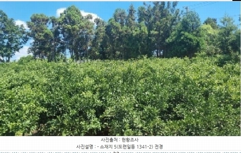 2025타경1486 제주특별자치도 제주시 도련일동 1341-1 농지 경매 이미지