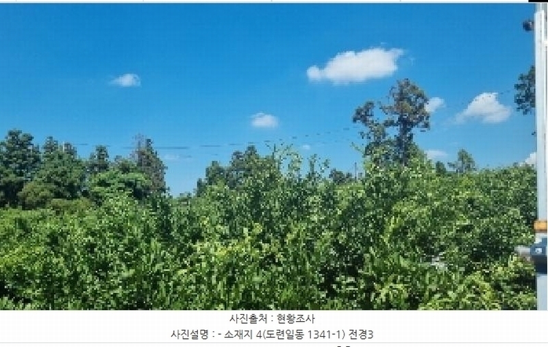 2025타경1486 제주특별자치도 제주시 도련일동 1341-1 농지 경매 이미지