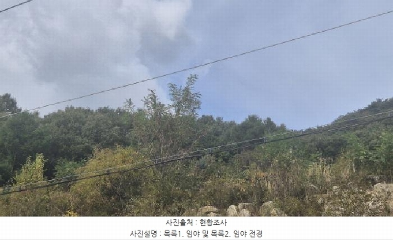 2025타경4667 경기도 포천시 영북면 산정리 산9-118 임야 경매 이미지