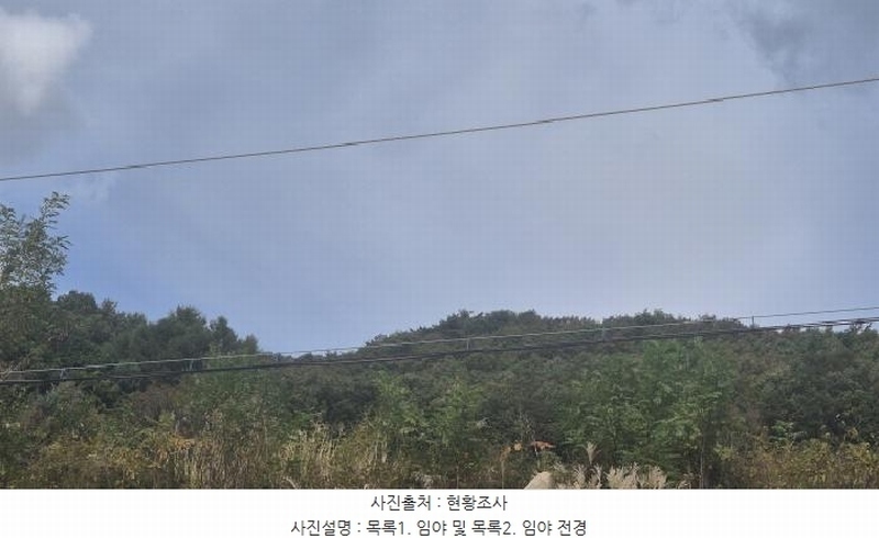2025타경4667 경기도 포천시 영북면 산정리 산9-118 임야 경매 이미지