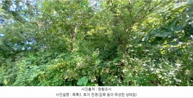 2025타경72988 경기도 연천군 군남면 선곡리 산177 임야 경매 이미지