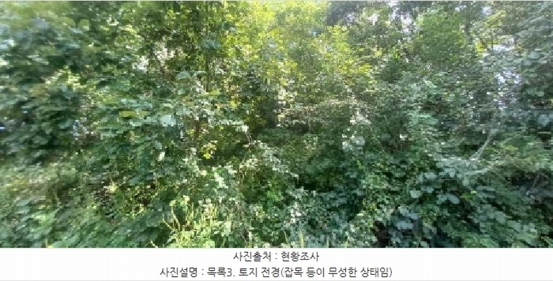 2025타경72988 경기도 연천군 군남면 선곡리 산177 임야 경매 이미지