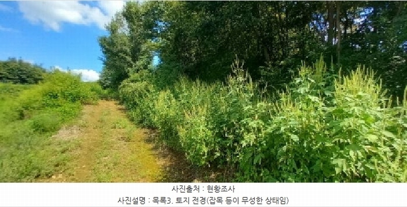2025타경72988 경기도 연천군 군남면 선곡리 산177 임야 경매 이미지