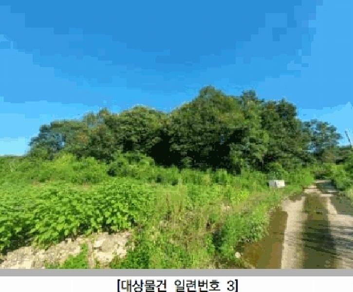 2025타경72988 경기도 연천군 군남면 선곡리 산177 임야 경매 이미지