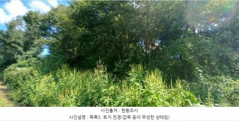2025타경72988 경기도 연천군 군남면 선곡리 산177 임야 경매 이미지