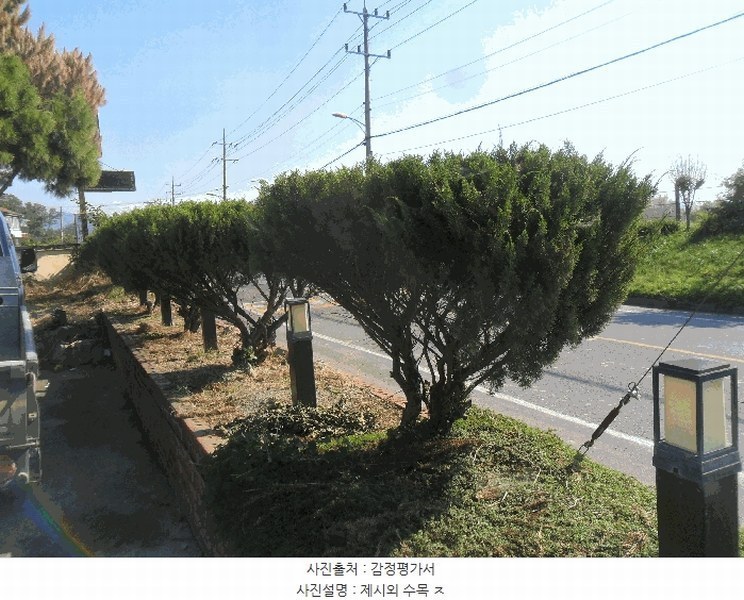 2025타경1196 경상남도 창녕군 도천면 송진리 589-1 근린시설 경매 이미지