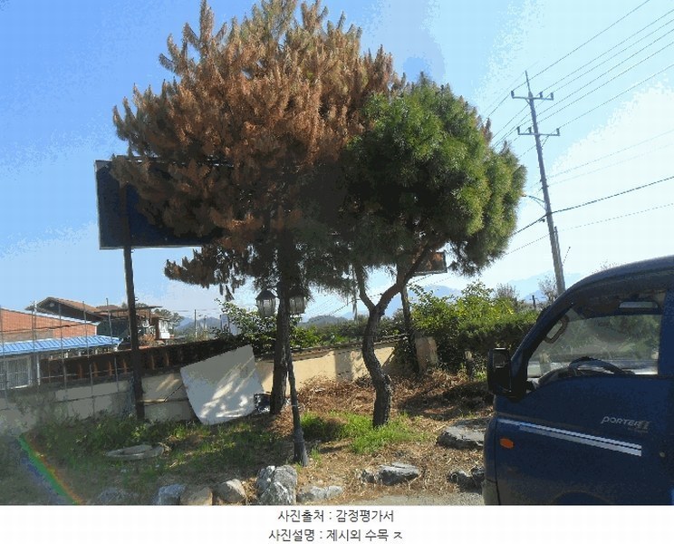 2025타경1196 경상남도 창녕군 도천면 송진리 589-1 근린시설 경매 이미지