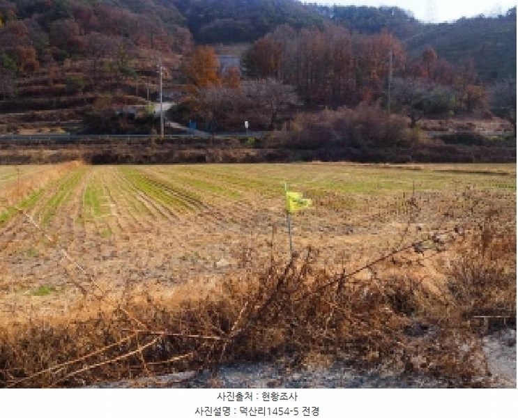 2025타경10573 경상남도 밀양시 초동면 덕산리 1454-5 농지 경매 이미지