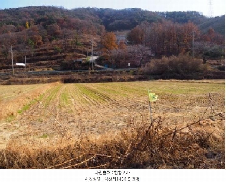 2025타경10573 경상남도 밀양시 초동면 덕산리 1454-5 농지 경매 이미지