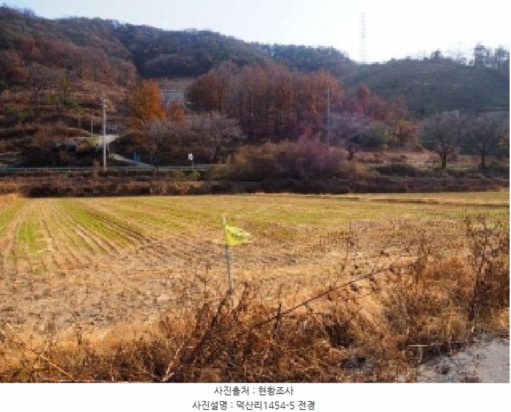 2025타경10573 경상남도 밀양시 초동면 덕산리 1454-5 농지 경매 이미지