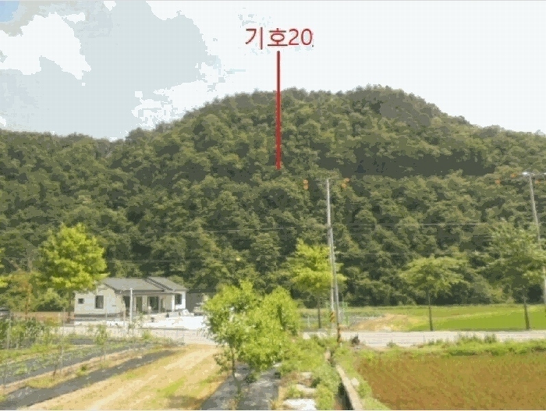 2025타경5339 충청북도 제천시 봉양읍 학산리 산51 임야 경매 이미지