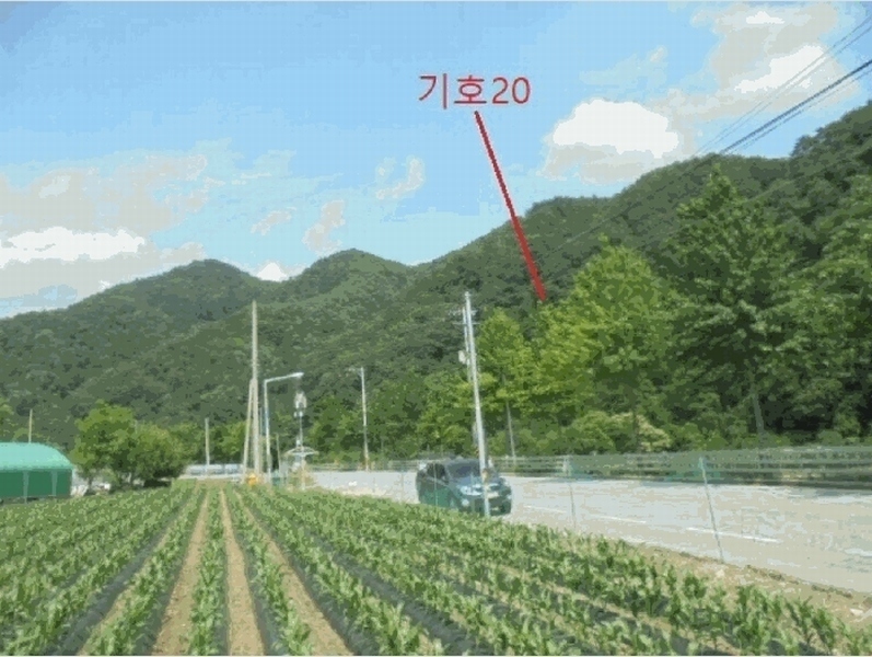 2025타경5339 충청북도 제천시 봉양읍 학산리 산51 임야 경매 이미지