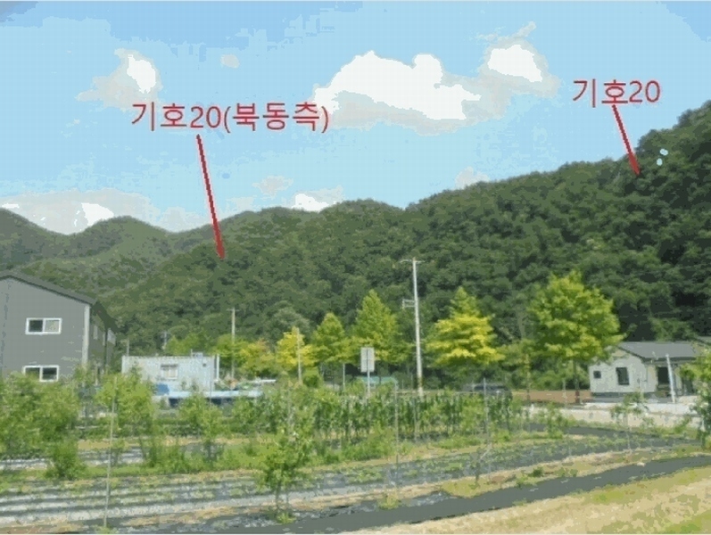 2025타경5339 충청북도 제천시 봉양읍 학산리 산51 임야 경매 이미지