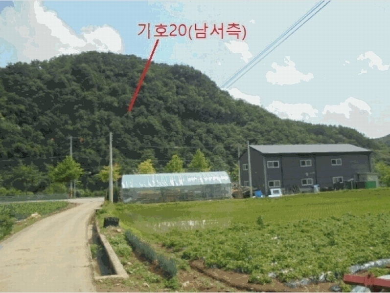 2025타경5339 충청북도 제천시 봉양읍 학산리 산51 임야 경매 이미지