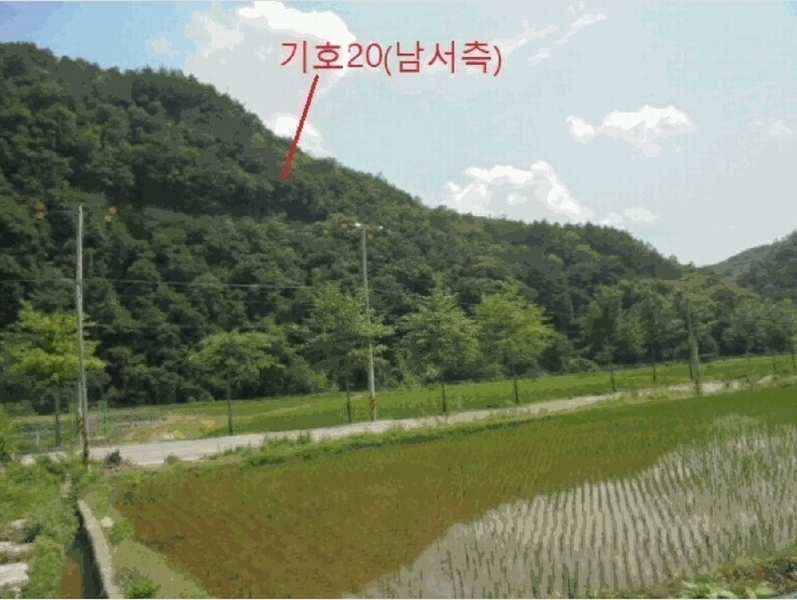 2025타경5339 충청북도 제천시 봉양읍 학산리 산51 임야 경매 이미지