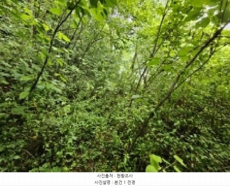 2025타경5371 충청북도 제천시 자작동 65 농지 경매 이미지