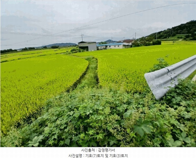 2025타경42568 경기도 평택시 현덕면 기산리 47 농지 경매 이미지