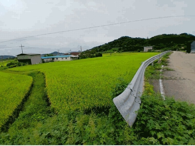 2025타경42568 경기도 평택시 현덕면 기산리 47 농지 경매 이미지