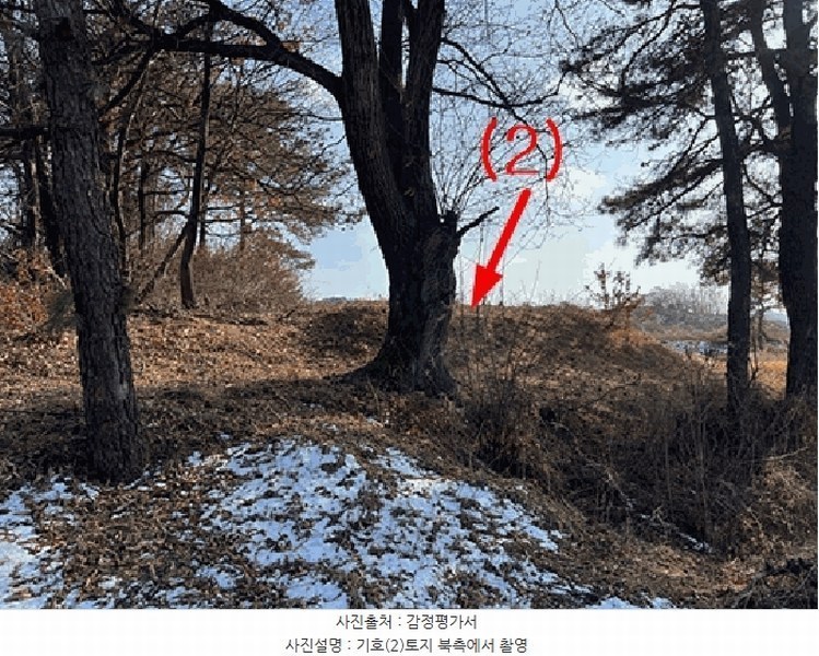 2026타경50121 경기도 평택시 장안동 산109-4 임야 경매 이미지