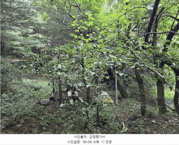 2025타경3824 충청북도 청주시 서원구 현도면 하석리 253-1 과수원 경매 이미지