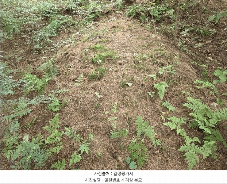 2025타경3824 충청북도 청주시 서원구 현도면 하석리 253-1 과수원 경매 이미지