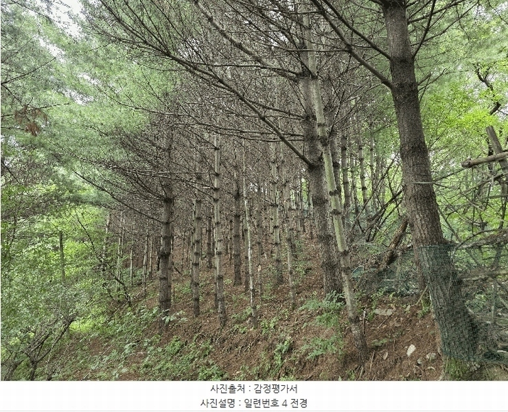 2025타경3824 충청북도 청주시 서원구 현도면 하석리 253-1 과수원 경매 이미지