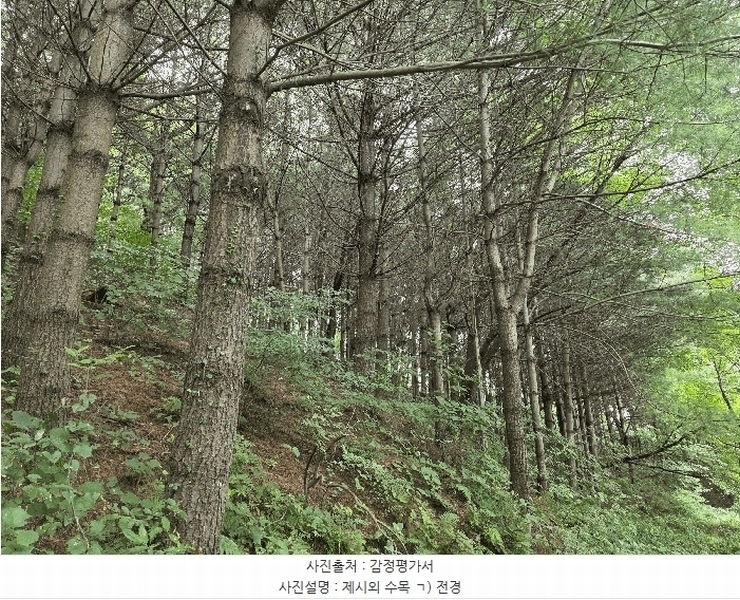 2025타경3824 충청북도 청주시 서원구 현도면 하석리 253-1 과수원 경매 이미지