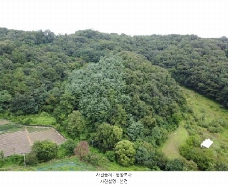 2025타경3824 충청북도 청주시 서원구 현도면 하석리 253-1 과수원 경매 이미지