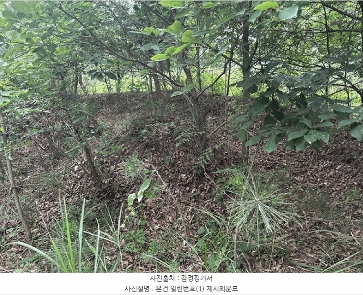 2025타경51468 충청남도 당진시 대호지면 두산리 642-5 임야 경매 이미지