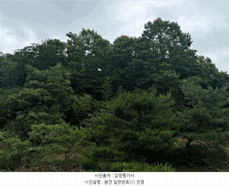 2025타경51468 충청남도 당진시 대호지면 두산리 642-5 임야 경매 이미지