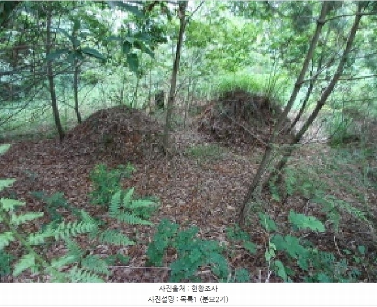 2025타경51468 충청남도 당진시 대호지면 두산리 642-5 임야 경매 이미지