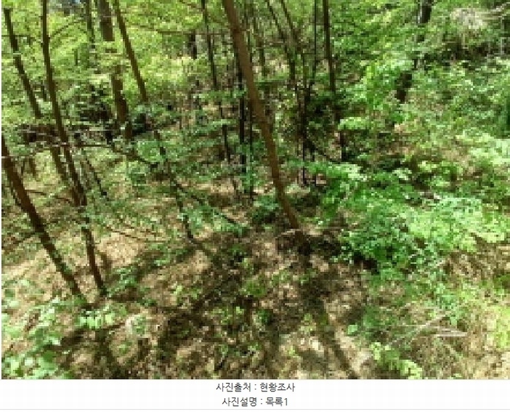 2025타경602 충청남도 서산시 대산읍 화곡리 59-59 임야 경매 이미지