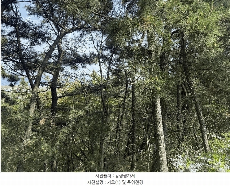 2025타경602 충청남도 서산시 대산읍 화곡리 59-59 임야 경매 이미지