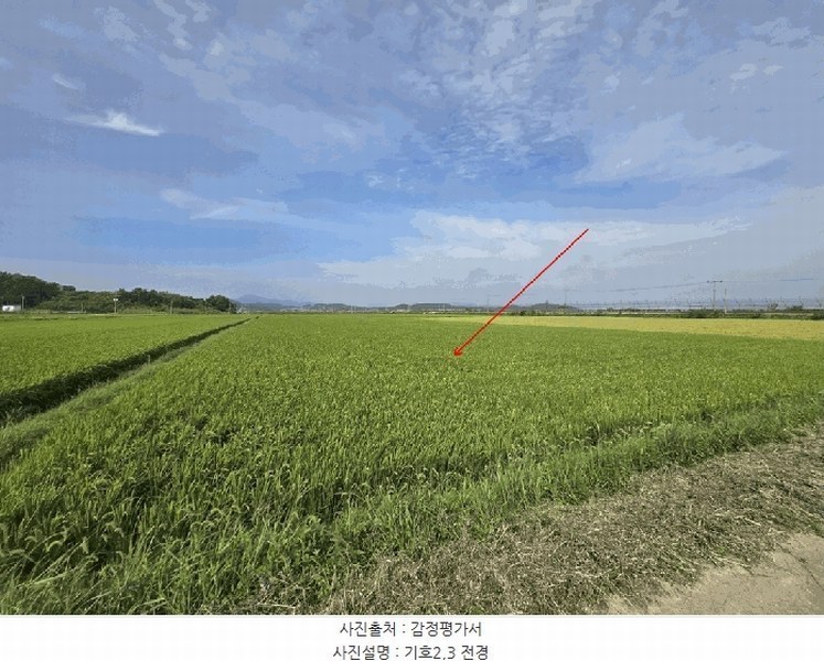 2025타경3314 경기도 김포시 월곶면 보구곶리 501 농지 경매 이미지
