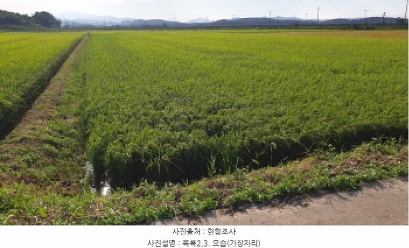 2025타경3314 경기도 김포시 월곶면 보구곶리 501 농지 경매 이미지