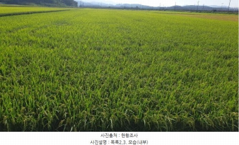 2025타경3314 경기도 김포시 월곶면 보구곶리 501 농지 경매 이미지