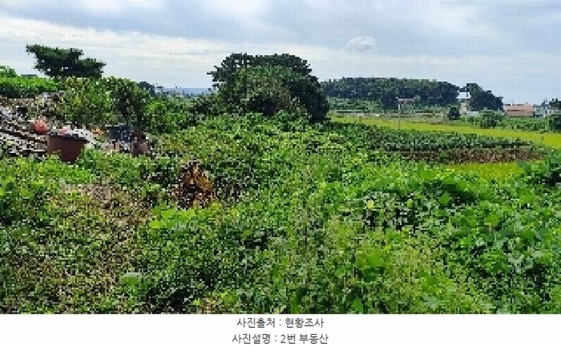 2025타경15962 충청남도 보령시 천북면 학성리 642-14 임야 경매 이미지