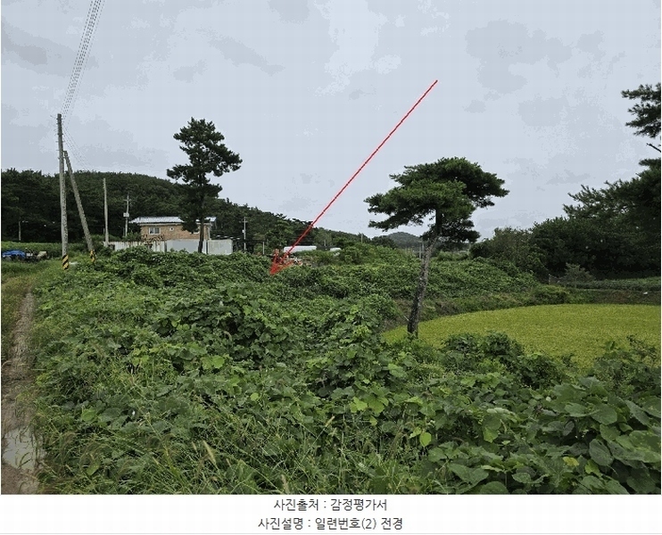 2025타경15962 충청남도 보령시 천북면 학성리 642-14 임야 경매 이미지