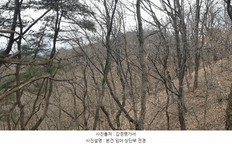 2025타경10833 경상북도 김천시 지례면 교리 산60 임야 경매 이미지