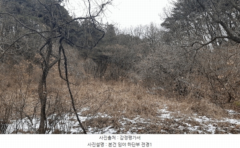 2025타경10833 경상북도 김천시 지례면 교리 산60 임야 경매 이미지