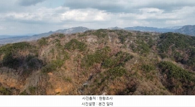 2025타경10833 경상북도 김천시 지례면 교리 산60 임야 경매 이미지