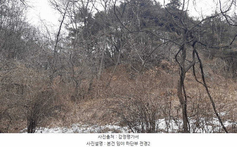2025타경10833 경상북도 김천시 지례면 교리 산60 임야 경매 이미지
