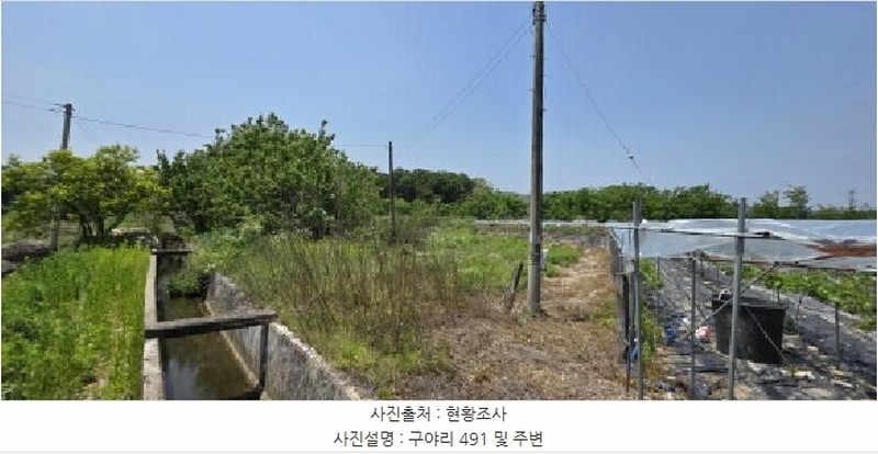 2025타경11029 경상북도 김천시 감문면 구야리 491 농지 경매 이미지