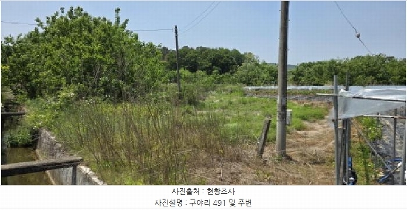 2025타경11029 경상북도 김천시 감문면 구야리 491 농지 경매 이미지