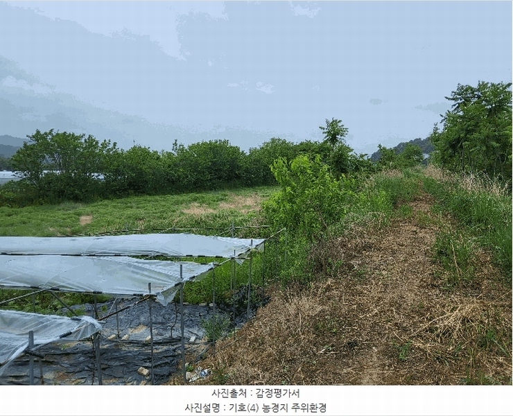 2025타경11029 경상북도 김천시 감문면 구야리 491 농지 경매 이미지