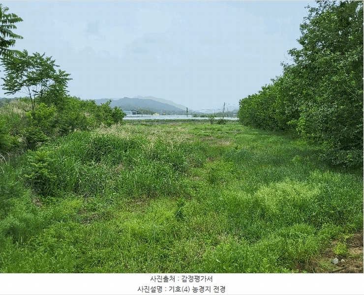 2025타경11029 경상북도 김천시 감문면 구야리 491 농지 경매 이미지