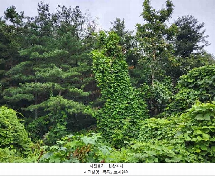 2025타경56387 경기도 화성시 봉담읍 내리 111-3 임야 경매 이미지