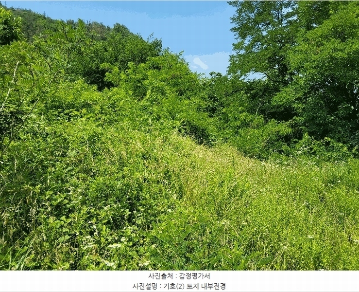 2025타경890 경상북도 영천시 고경면 전사리 358 농지 경매 이미지