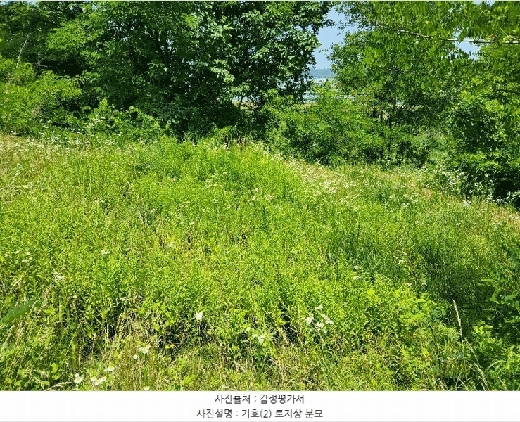 2025타경890 경상북도 영천시 고경면 전사리 358 농지 경매 이미지