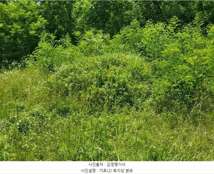 2025타경890 경상북도 영천시 고경면 전사리 358 농지 경매 이미지